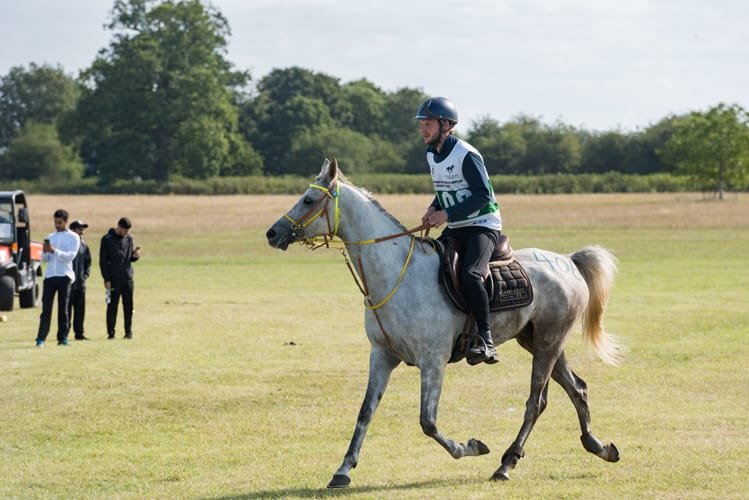 Endurance rider at FEI European Championship Euston Park Thetford