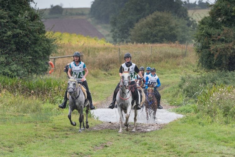 Endurance rider crossing water at FEI European Championship Euston Park Thetford