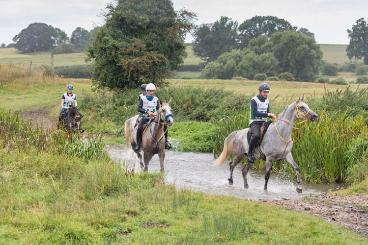 Thetford equestrian event photographer