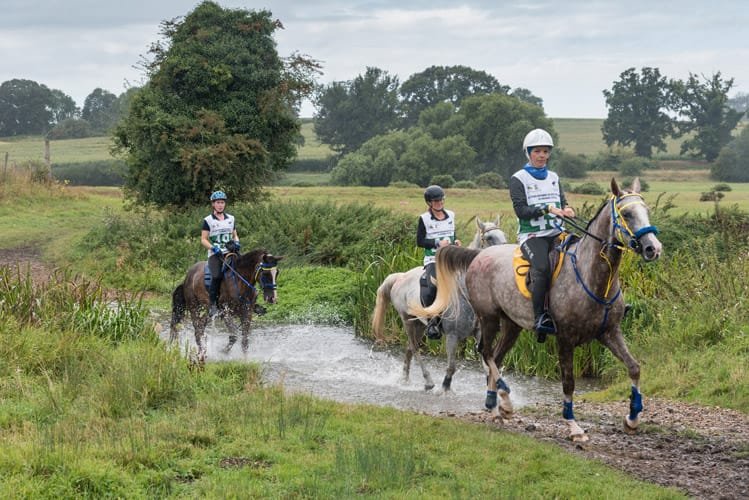 FEI Endurance European Championships Euston Park 2019 054 1