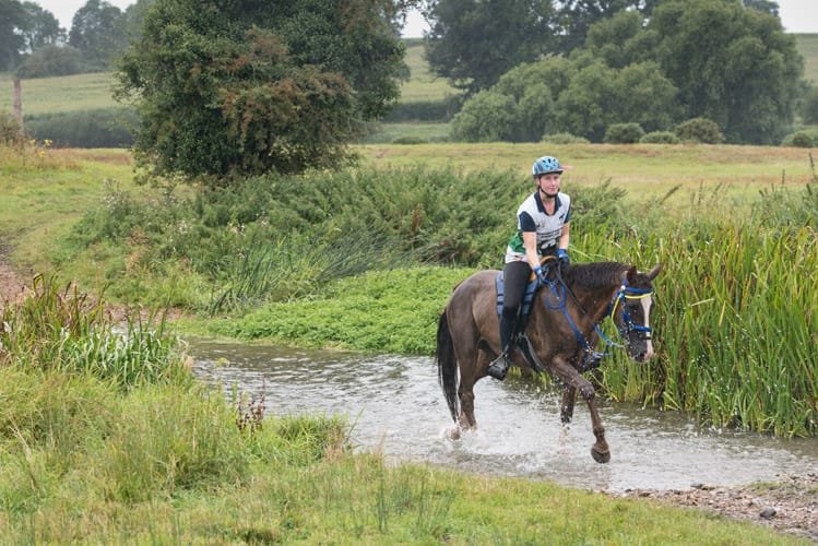 Endurance rider crossing water at FEI European Championship Euston Park Thetford