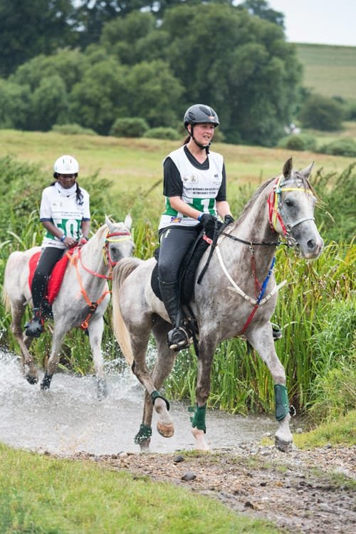 Endurance rider crossing water at FEI European Championship Euston Park Thetford