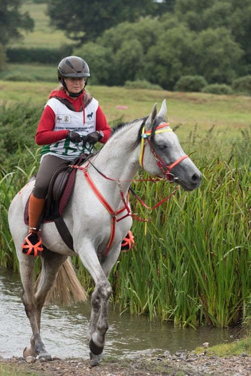 Endurance rider at FEI European Championship Euston Park Thetford