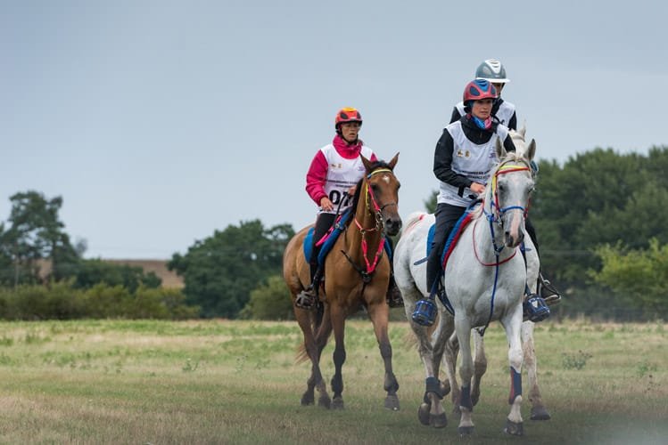 Endurance rider at FEI European Championship Euston Park Thetford