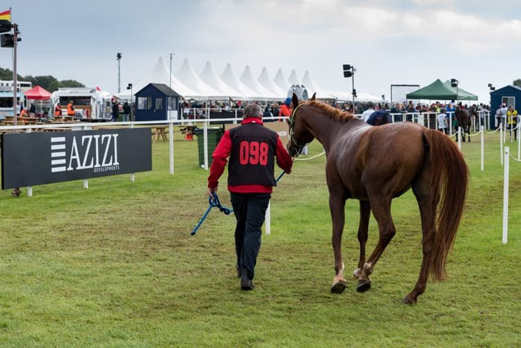 Endurance rider at FEI European Championship Euston Park Thetford