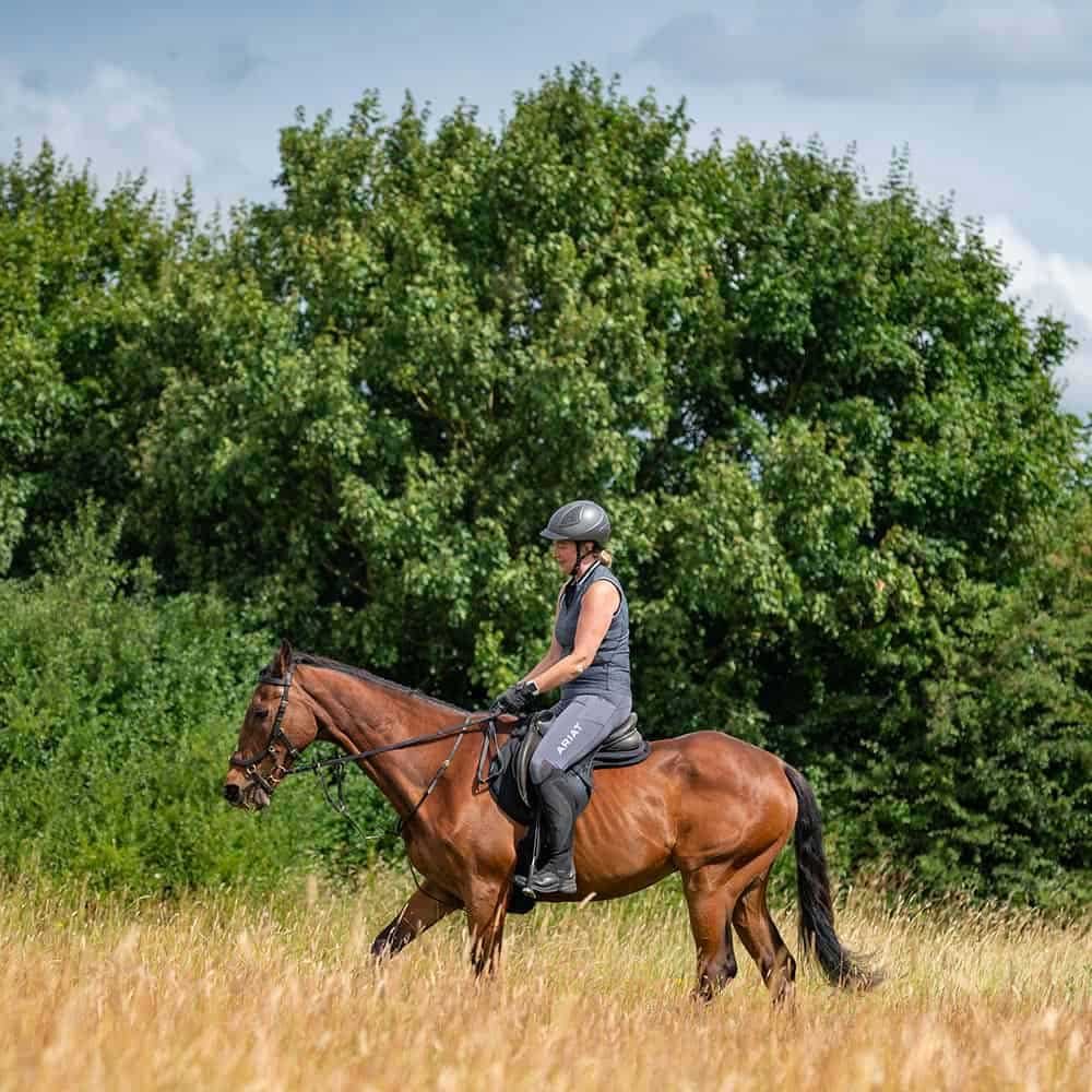 Horse Photographer 001