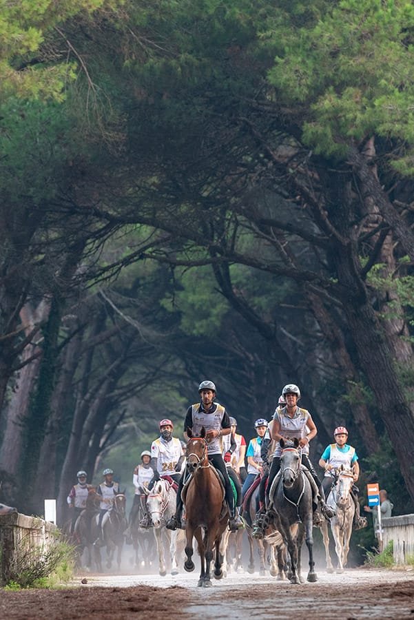 Italy Endurance Horse Race 0064