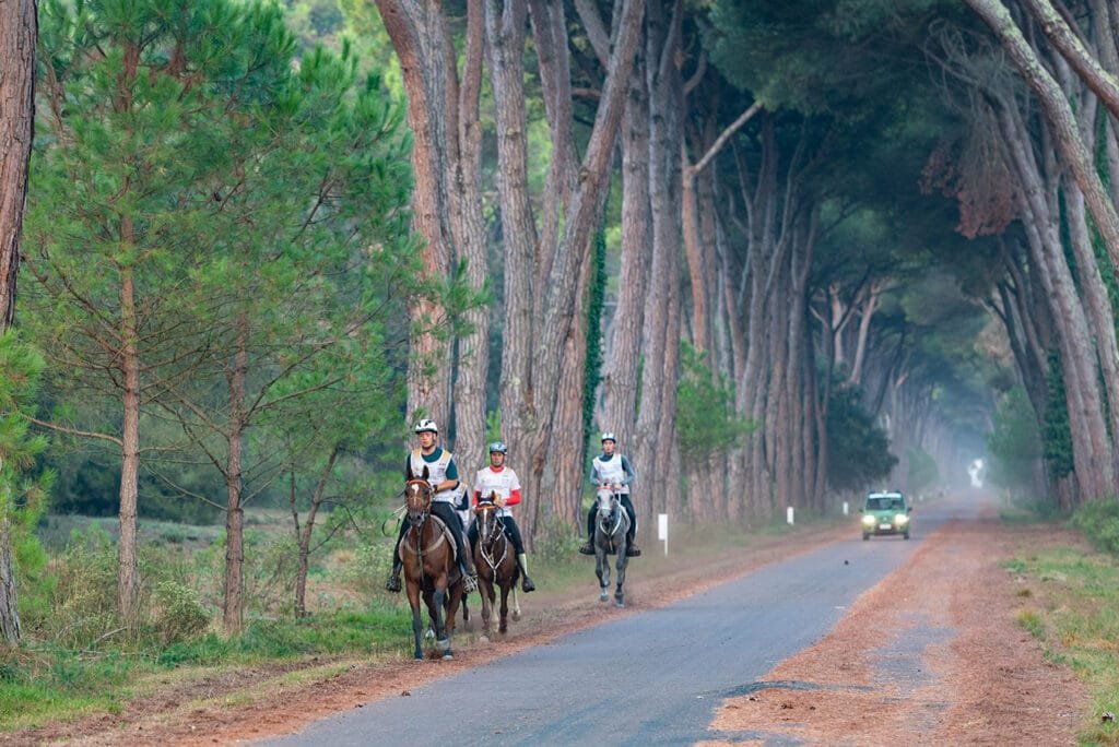 Italy Endurance Horse Race 0096