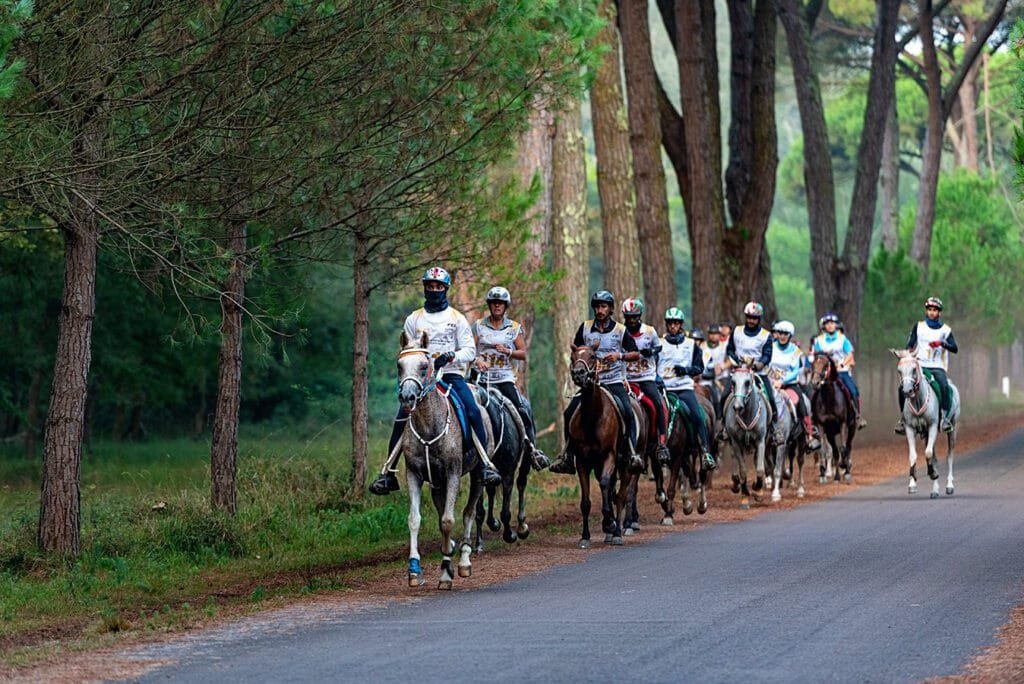 Italy Endurance Horse Race 0151