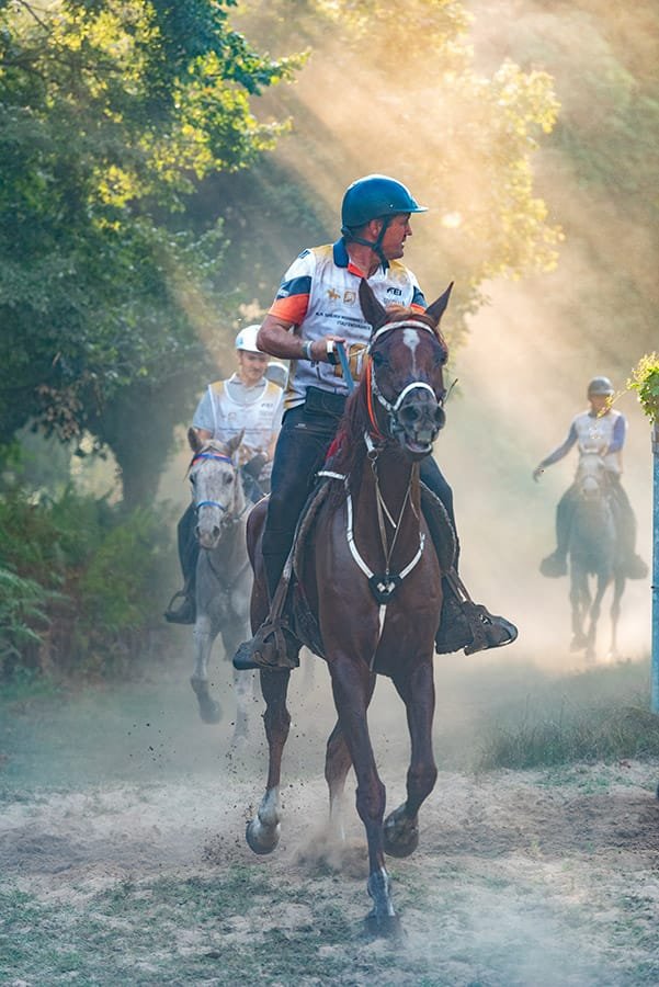 Backlit horse and rider through Tuscan woodland endurance photography