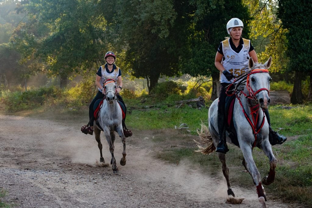 Italy Endurance Horse Race 0393 1