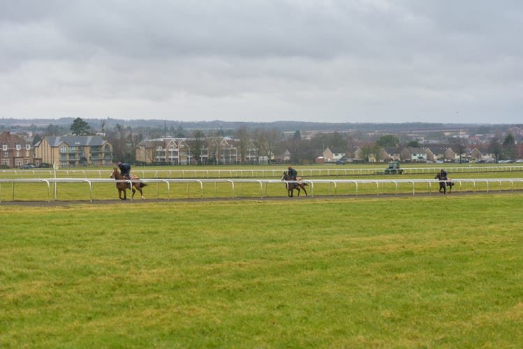 Thoroughbred galloping on Warren Hill Newmarket at dawn