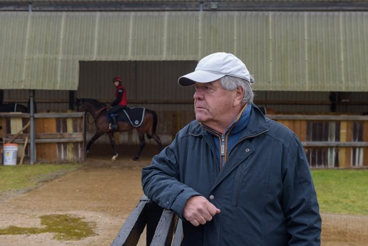 Newmarket stud farm photography