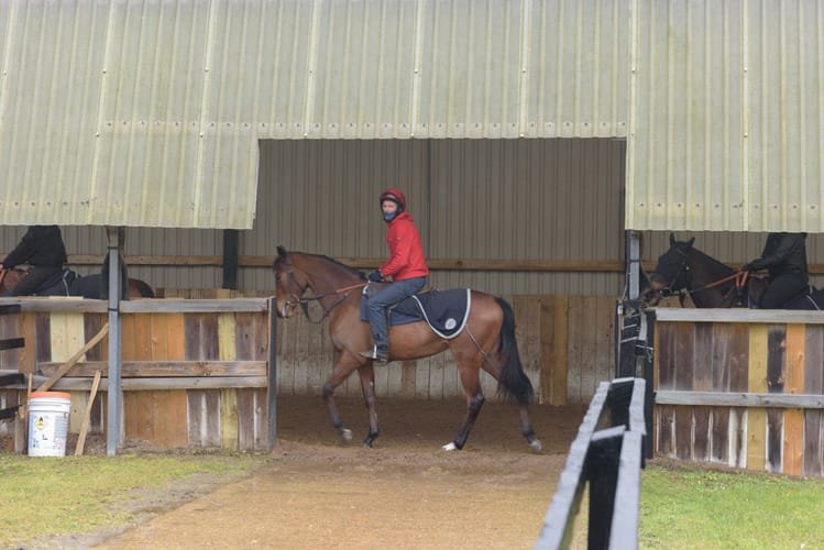 Newmarket stud farm photography