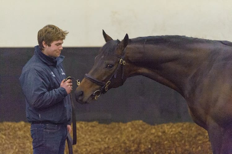 Newmarket equestrian photographer