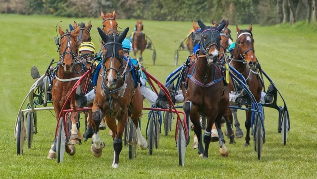 Race Day Photography