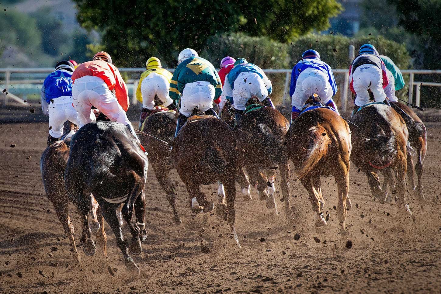 Race Day Photography